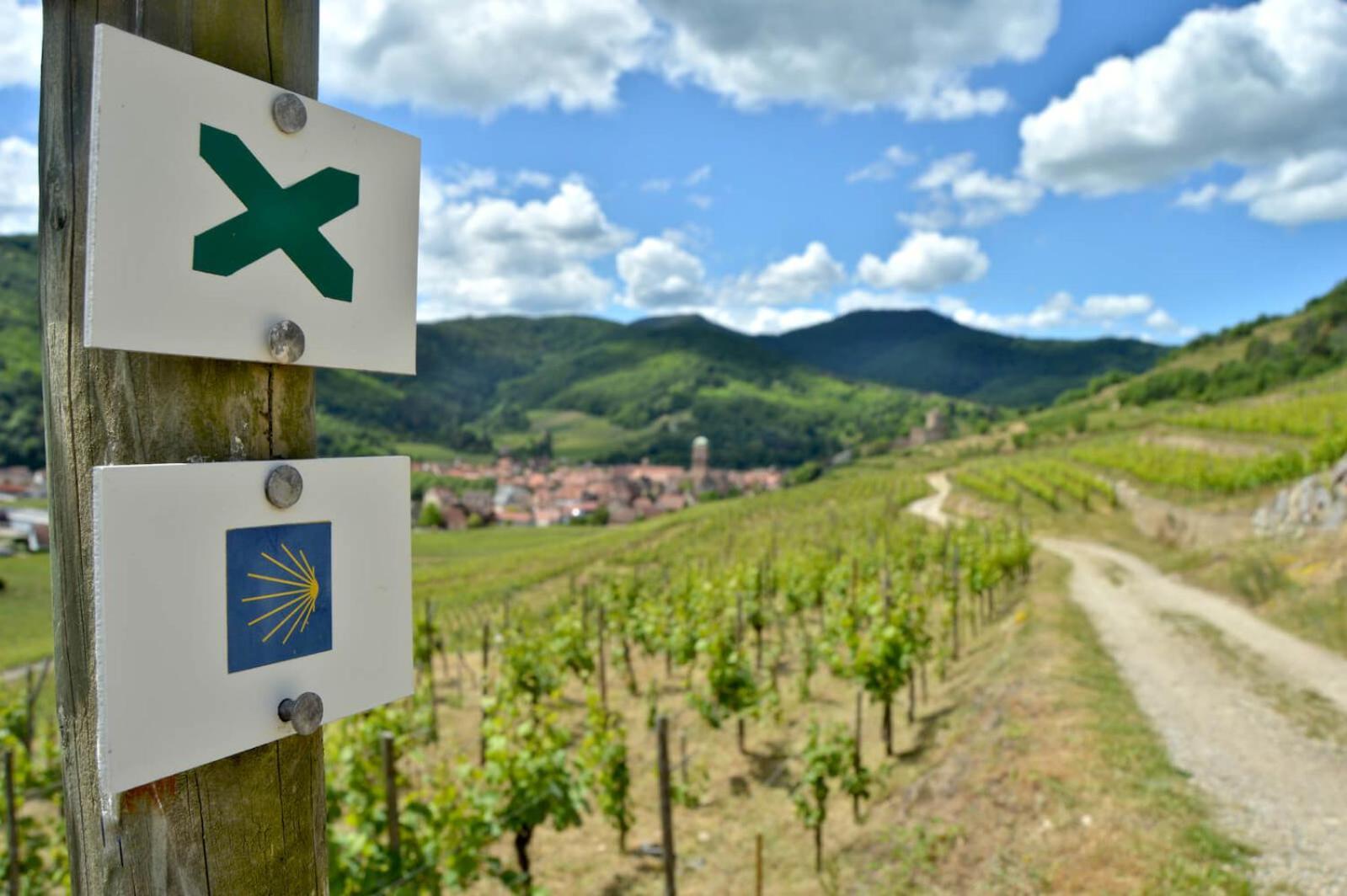 Naova Cosy Studio Kaysersberg-Vignoble Exterior photo