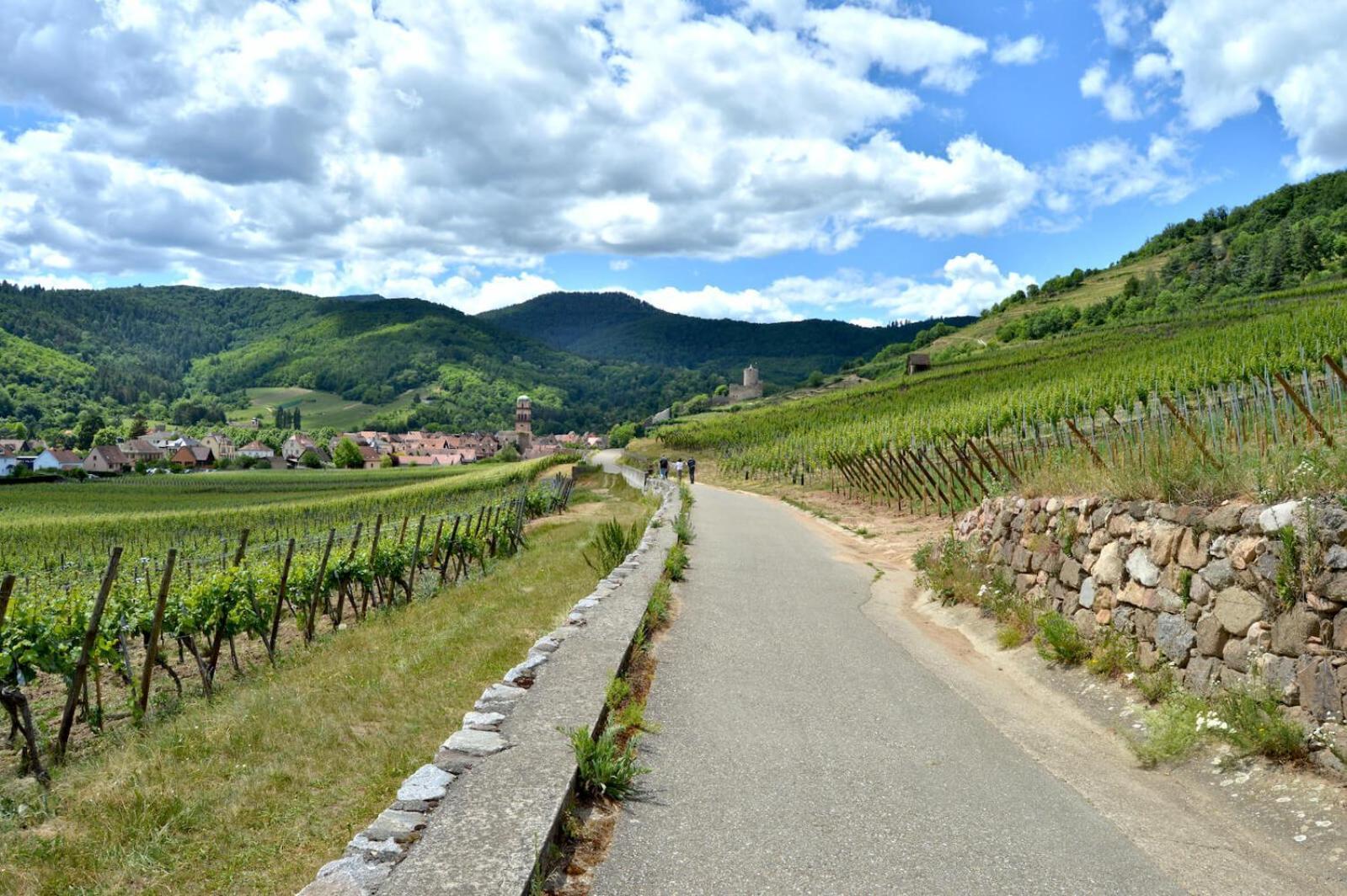 Naova Cosy Studio Kaysersberg-Vignoble Exterior photo