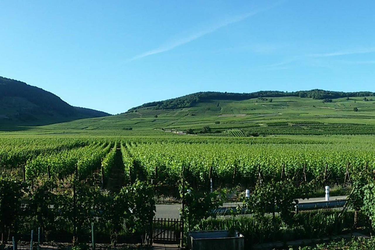 Naova Cosy Studio Kaysersberg-Vignoble Exterior photo